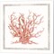 Pink Coastal Coral by Cindy Jacobs 14" x 14" Canvas Wall Art (Set of 2)